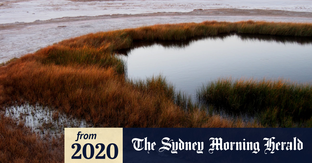 South Australia's disappearing mound springs raise questions for miner BHP